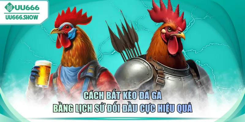 Cách bắt kèo đá gà bằng lịch sử đối đầu cực hiệu quả