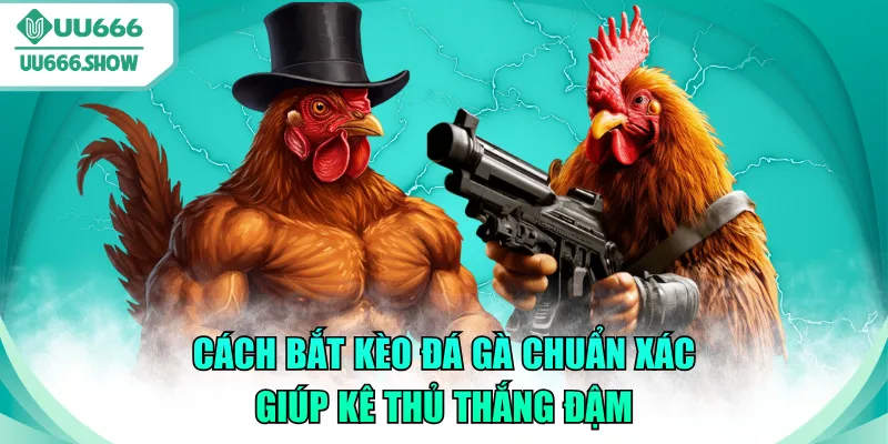 cách bắt kèo đá gà