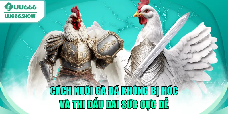 cách nuôi gà đá không bị hóc