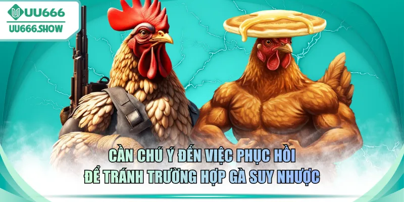 Cần chú ý đến việc phục hồi để tránh trường hợp gà suy nhược