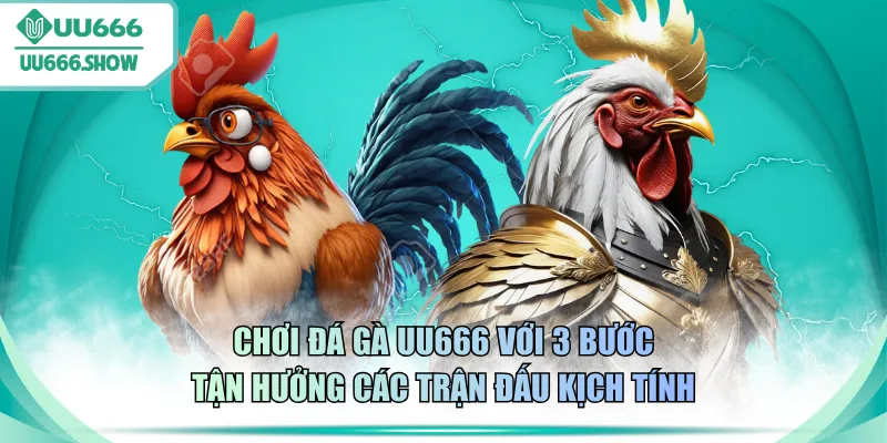 Chơi đá gà UU666 với 3 bước tận hưởng các trận đấu kịch tính