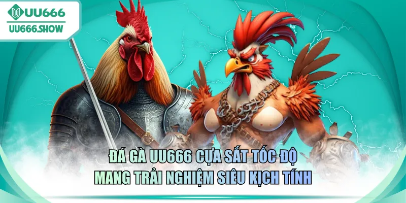 Đá gà UU666 cựa sắt tốc độ mang trải nghiệm siêu kịch tính