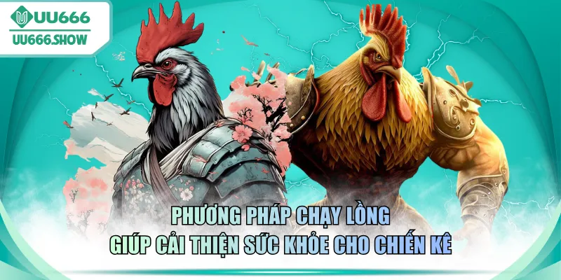 Phương pháp chạy lồng giúp cải thiện sức khỏe cho chiến kê