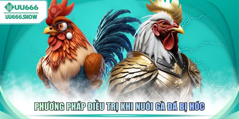 Phương pháp điều trị khi nuôi gà đá bị hóc