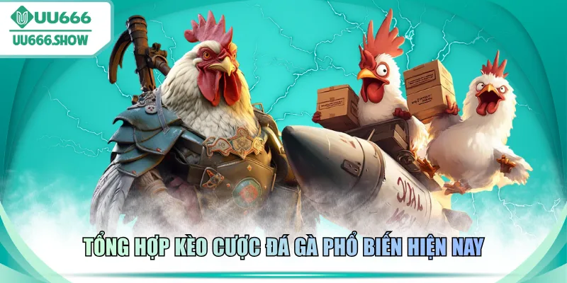 Tổng hợp kèo cược đá gà phổ biến hiện nay