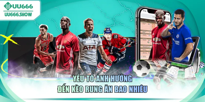 Yếu tố ảnh hưởng đến kèo rung ăn bao nhiêu