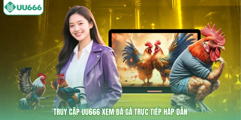 Truy cập UU666 xem đá gà trực tiếp hấp dẫn